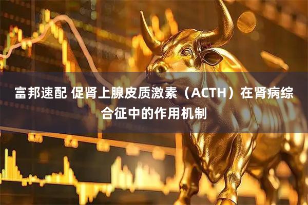 富邦速配 促肾上腺皮质激素（ACTH）在肾病综合征中的作用机制