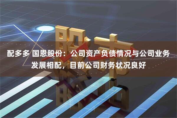 配多多 国恩股份：公司资产负债情况与公司业务发展相配，目前公司财务状况良好